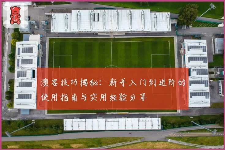 澳客技巧揭秘：新手入门到进阶的使用指南与实用经验分享
