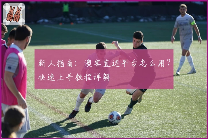 新人指南：澳客直连平台怎么用？快速上手教程详解