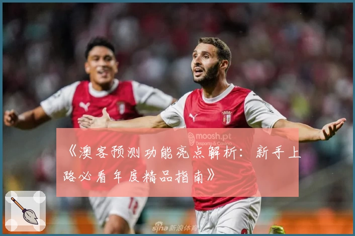 《澳客预测功能亮点解析：新手上路必看年度精品指南》