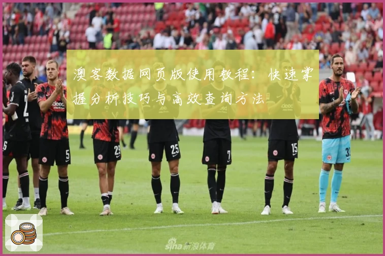 澳客数据网页版使用教程：快速掌握分析技巧与高效查询方法